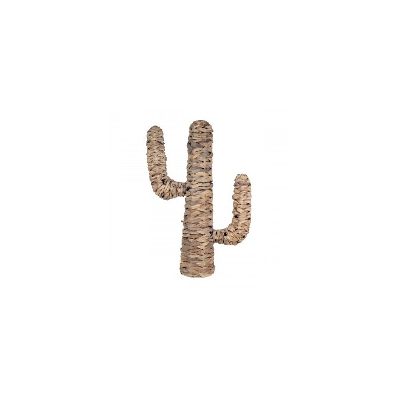 VANNERIE : CACTUS EN FEUILLE DE BANANIER MOYEN, design, modern VANNERIE : CACTUS EN FEUILLE DE BANANIER MOYEN, design, modern