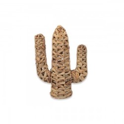 VANNERIE : CACTUS PETIT, design, modern