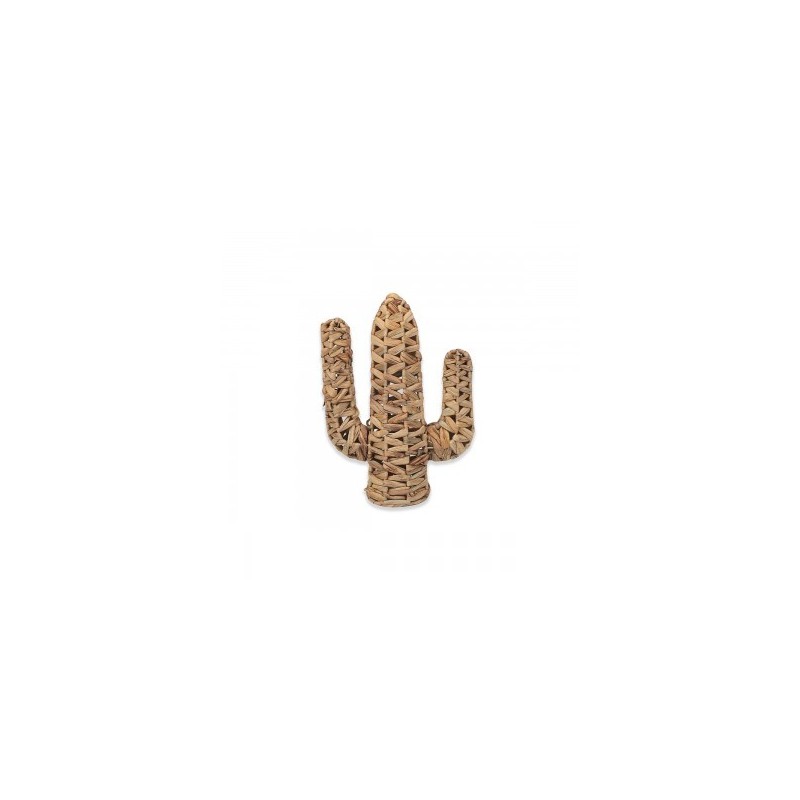 VANNERIE : CACTUS PETIT, design, modern VANNERIE : CACTUS PETIT, design, modern