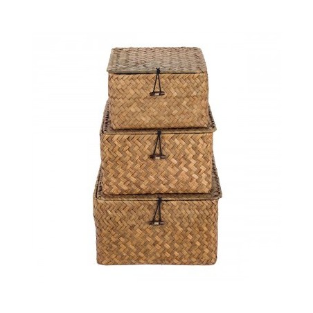 VANNERIE : SET 3 PANIERS ATTACHE, design, modern